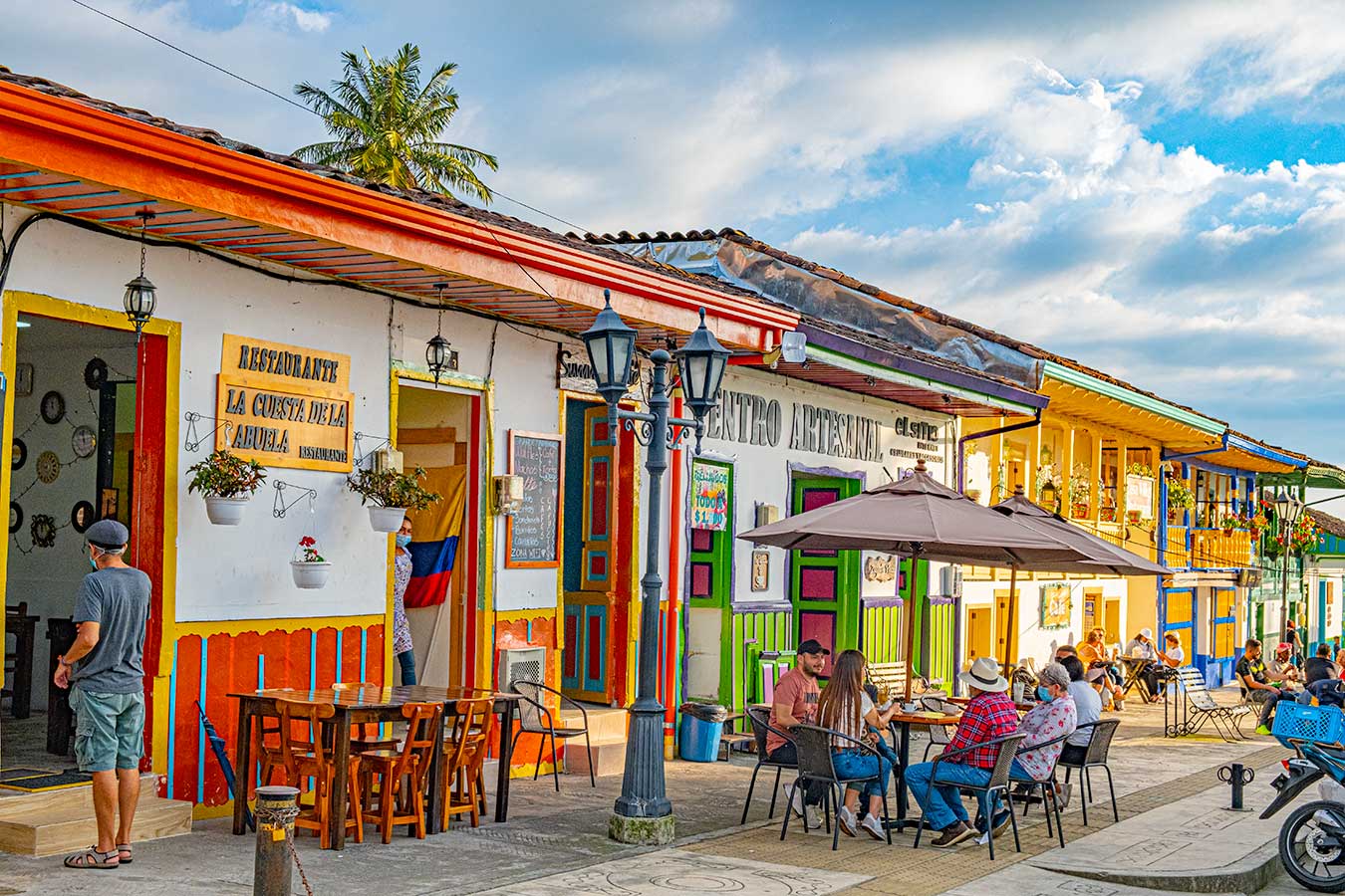 COSECHA CAFETERA