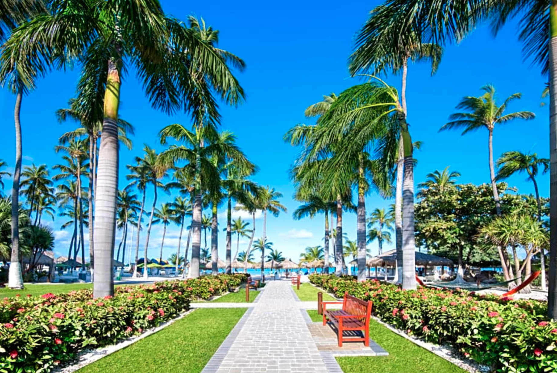Aruba