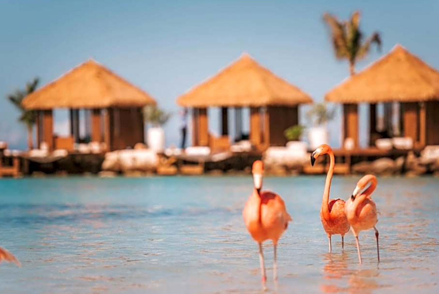 Aruba