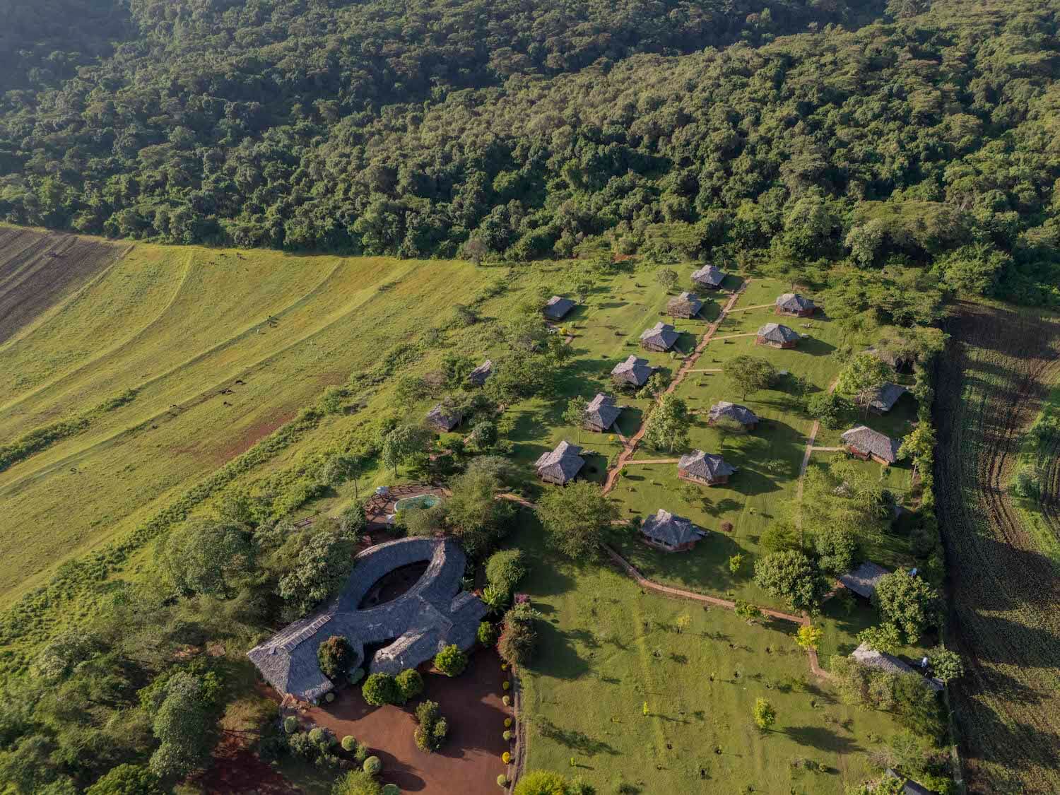TANZANIA, KENIA Y ESTAMBUL