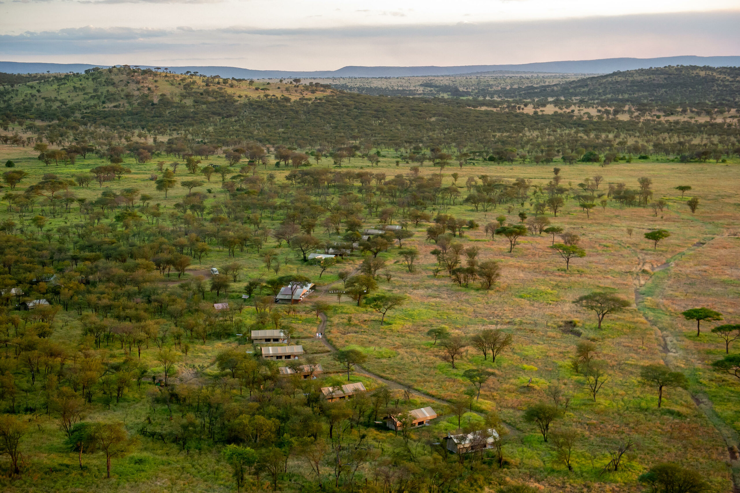 Tanzania y Kenia Esencial